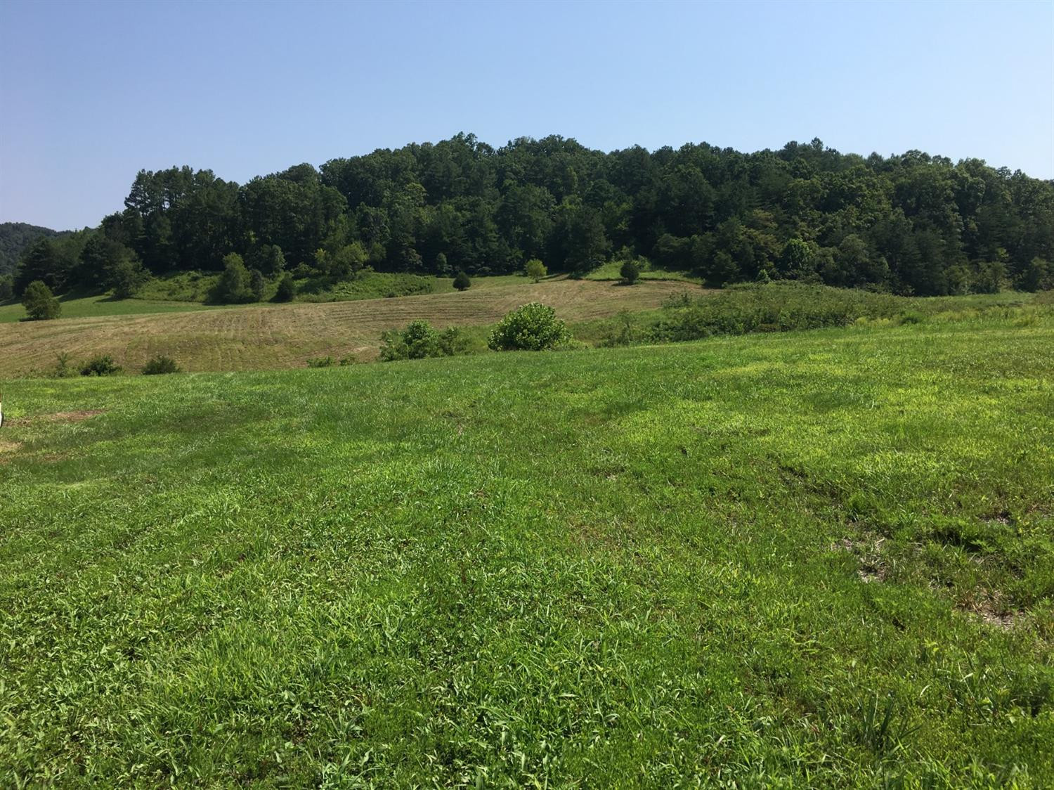 8181 Johnson Road London, KY 40741 - Photo 4 of 41 Photo 4