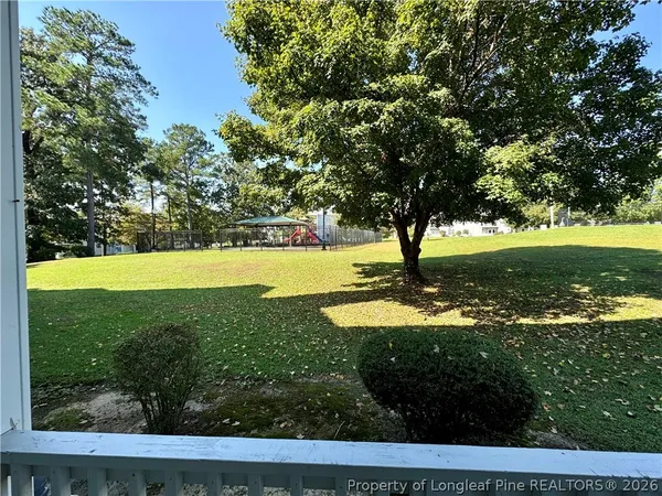 a view of a park with large trees