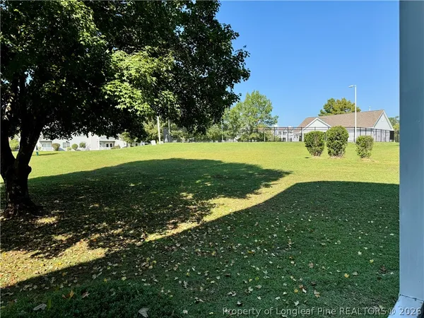 a view of a golf course with a tree