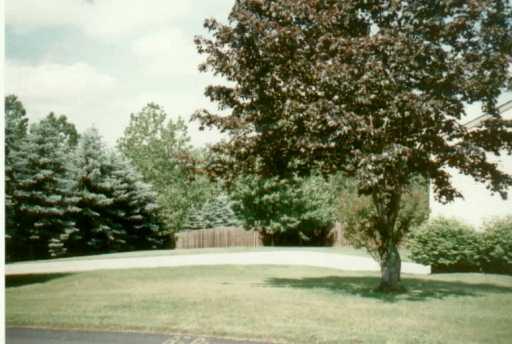 53 West Calvin Drive McKees Rocks, PA 15136 - Photo 4 of 7 Gallery Image 4