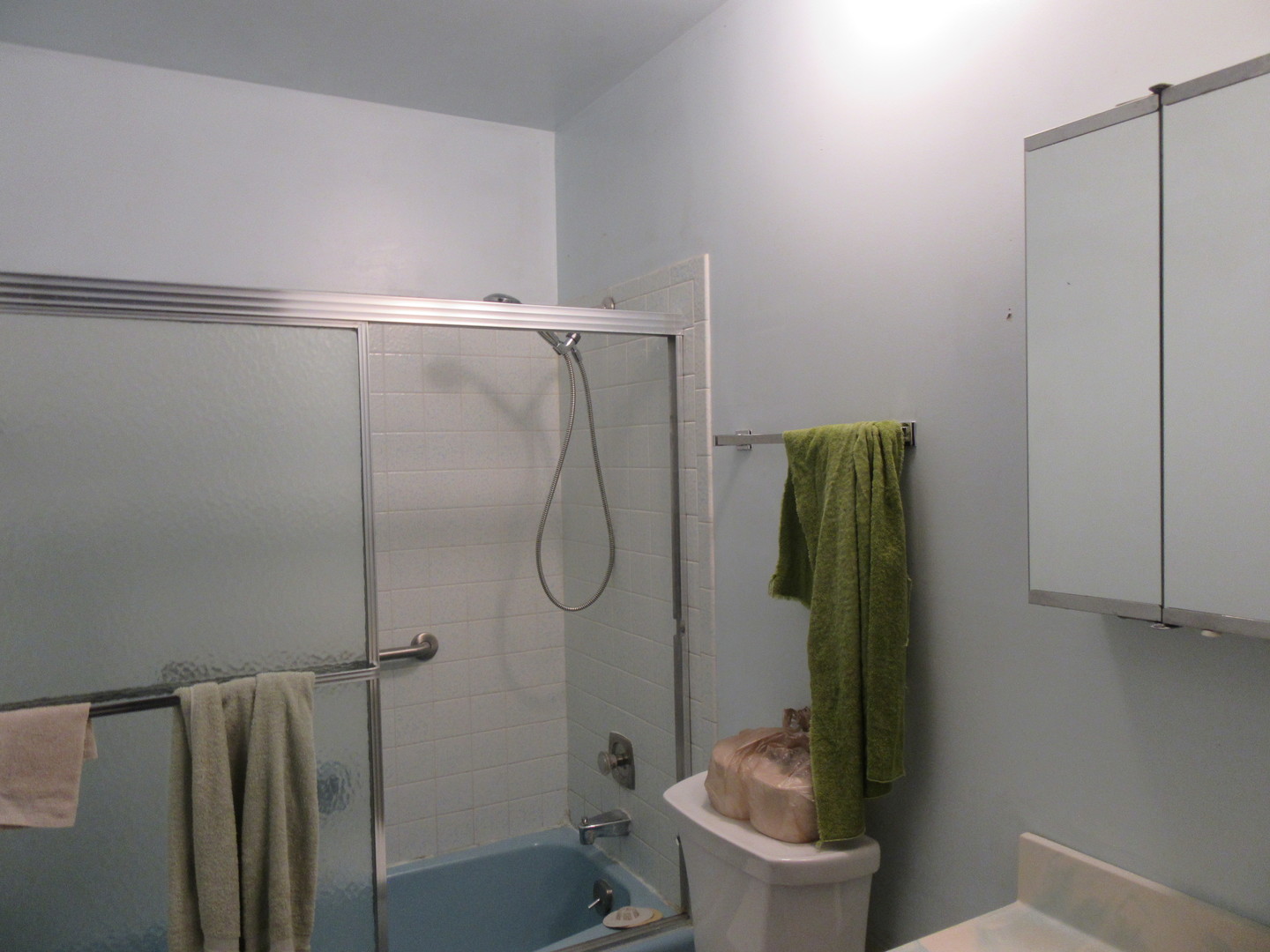 740 Jr Terrace Elmhurst, IL 60126 - Photo 11 of 23 a bathroom with a shower and a toilet