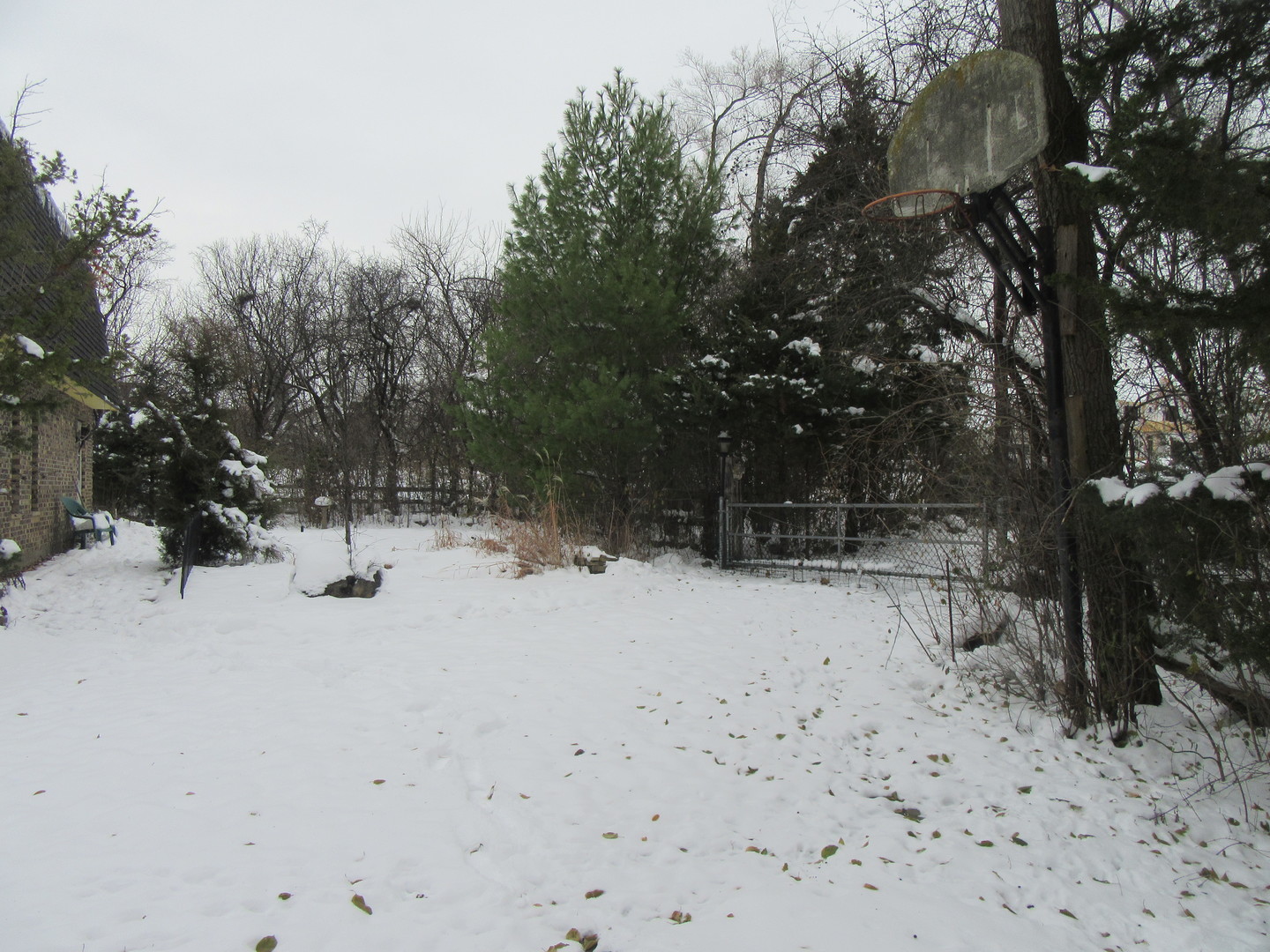 740 Jr Terrace Elmhurst, IL 60126 - Photo 20 of 23 a view of road and trees