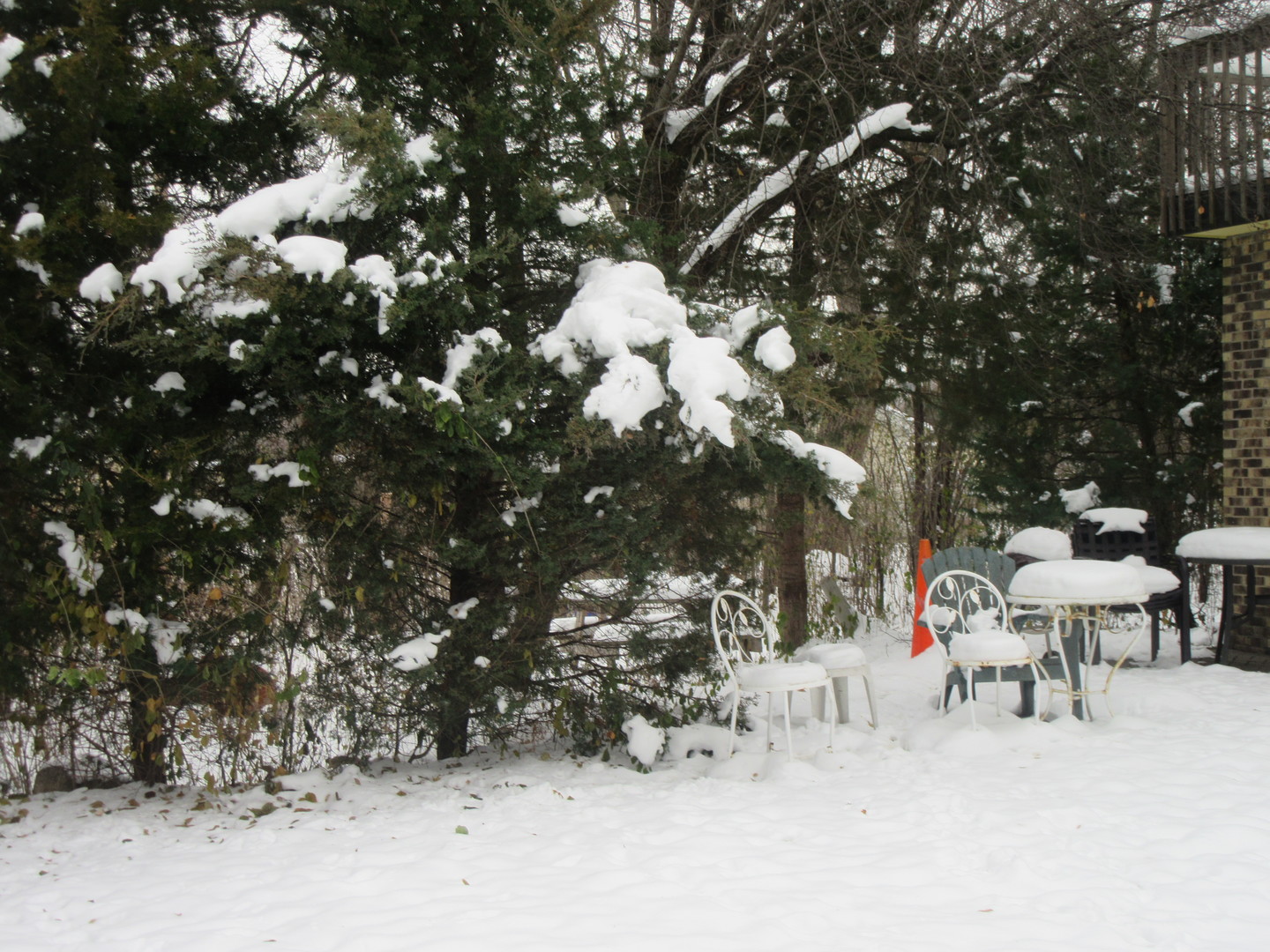 740 Jr Terrace Elmhurst, IL 60126 - Photo 20 of 22 a backyard of a house with table and chairs