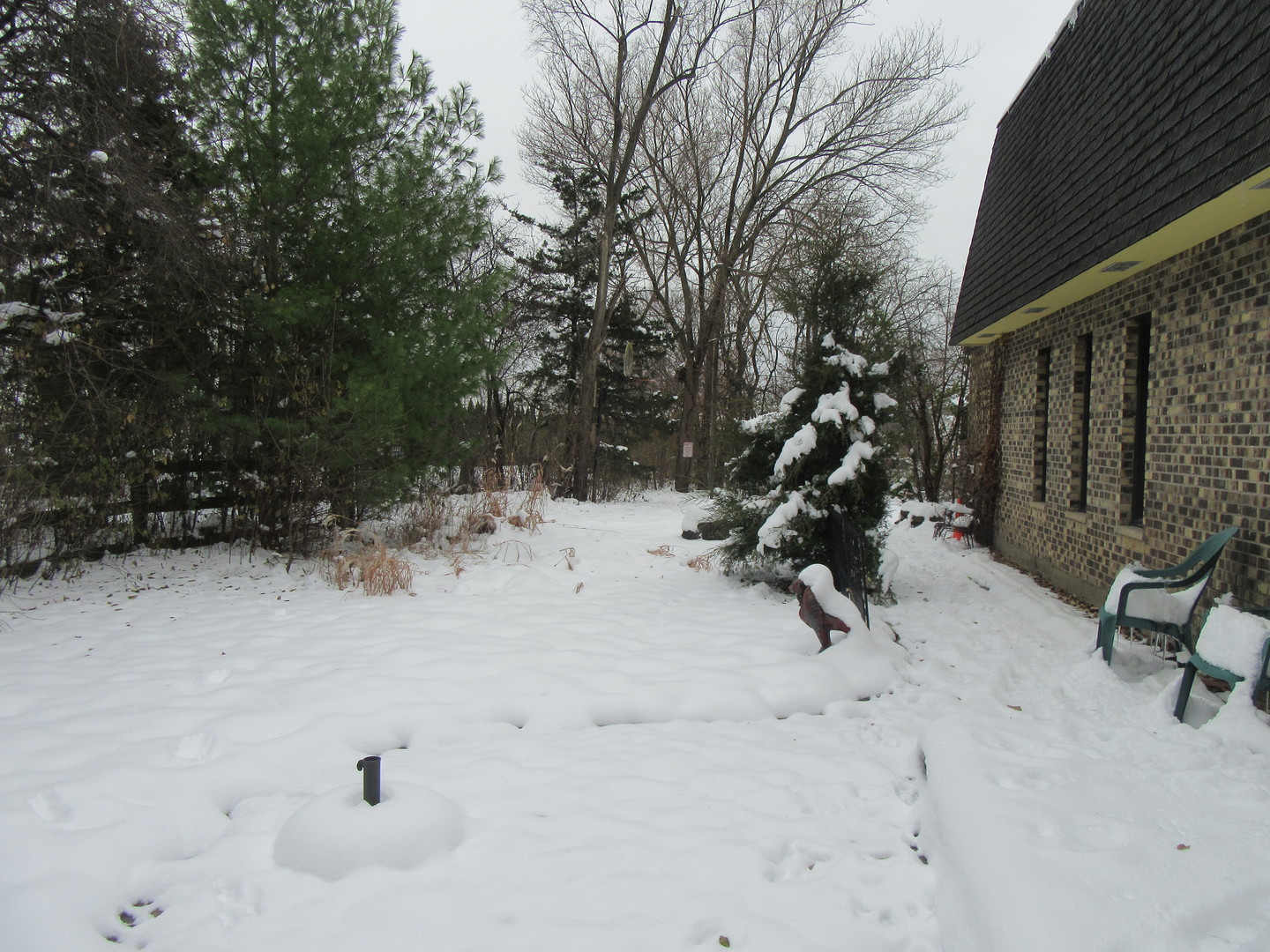740 Jr Terrace Elmhurst, IL 60126 - Photo 22 of 30 a view of outdoor space and yard
