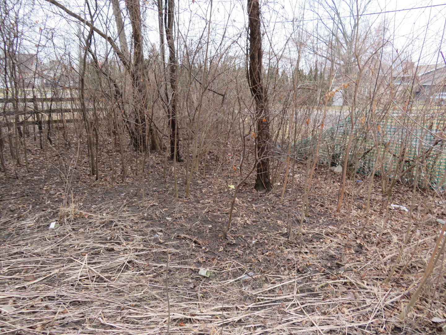 740 Jr Terrace Elmhurst, IL 60126 - Photo 28 of 30 a view of a yard with trees