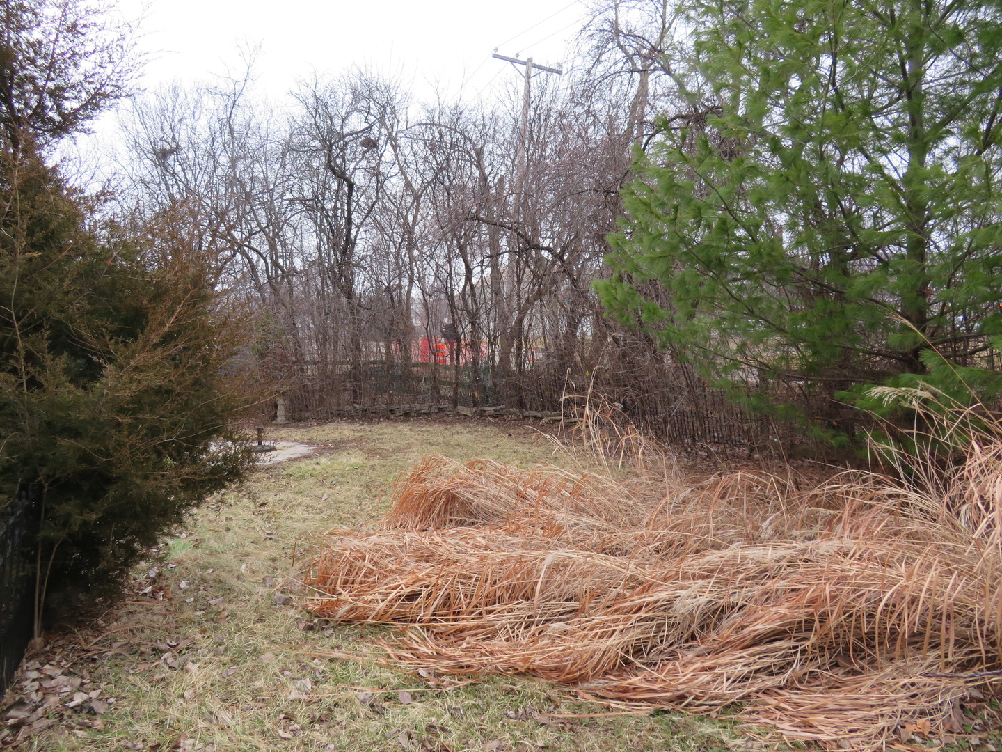 740 Jr Terrace Elmhurst, IL 60126 - Photo 30 of 30 a view of a yard with trees