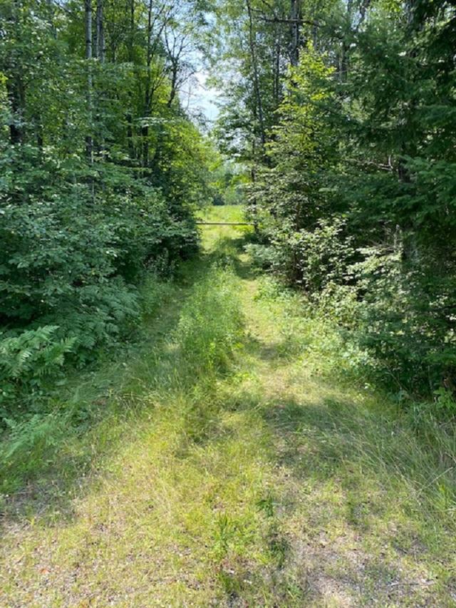 2027 Cth C Rhinelander, WI 54501 - Photo 4 of 9 Gallery Image 4