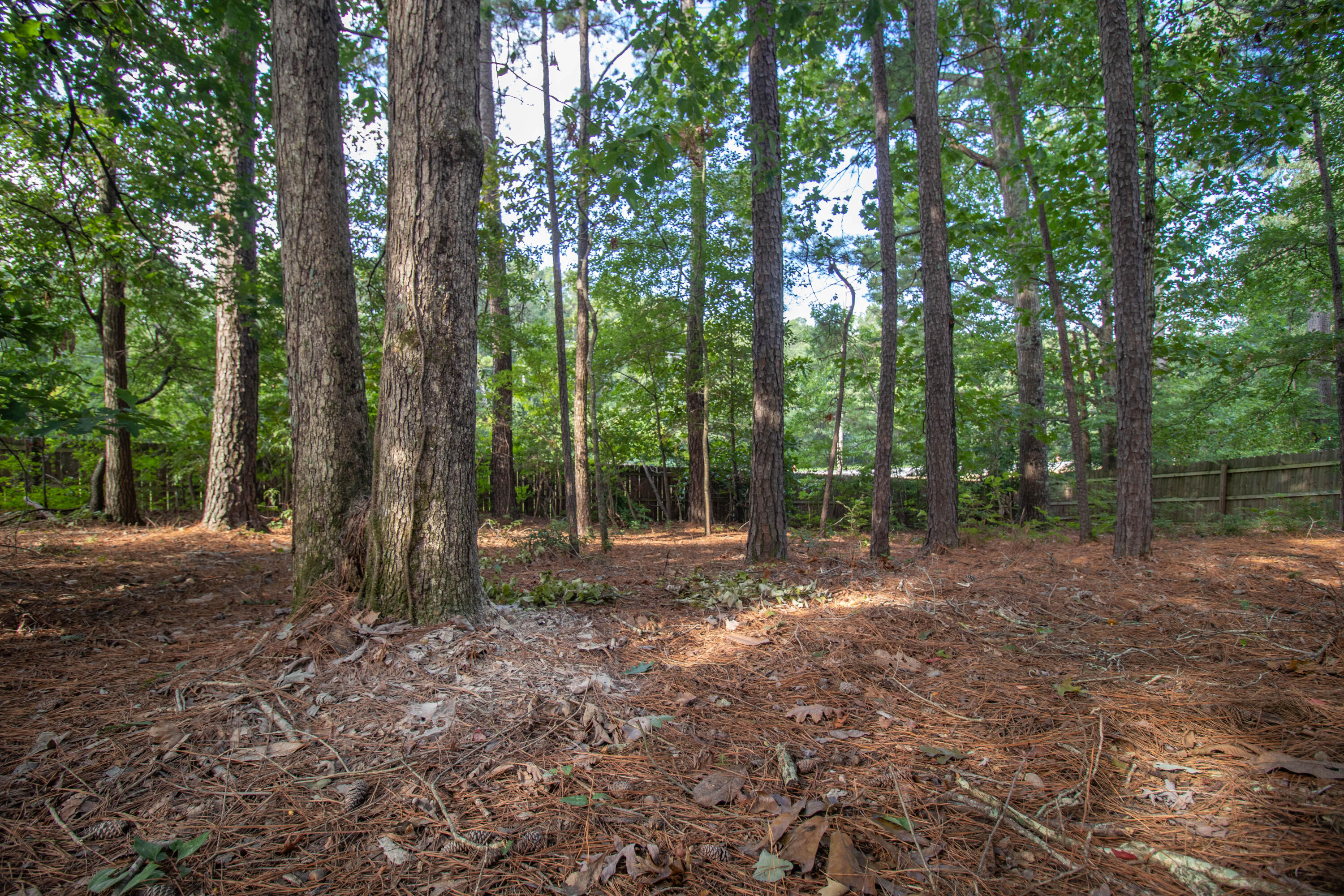 833 Hickory Ridge Road Aiken, SC 29803 - Photo 34 of 34