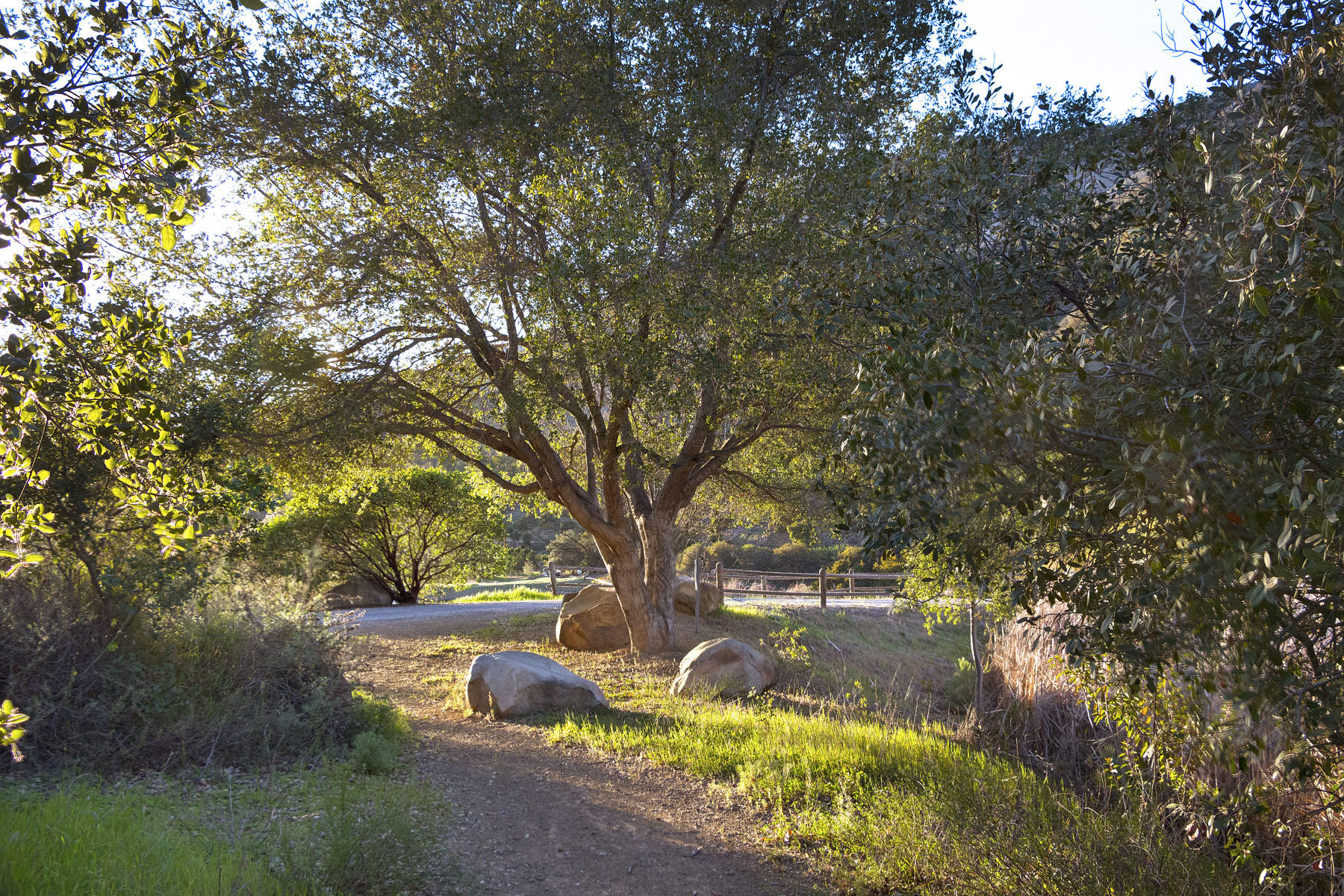 2289 Hermitage Road Ojai, CA 93023 - Photo 17 of 19 IMG_6335-adj4