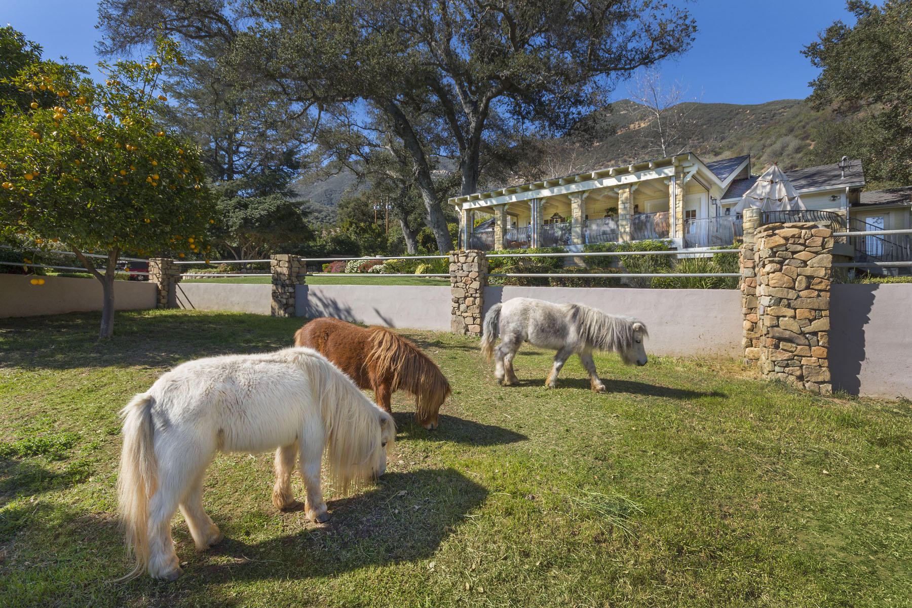 2289 Hermitage Road Ojai, CA 93023 - Photo 2 of 19 IMG_5861-adj3