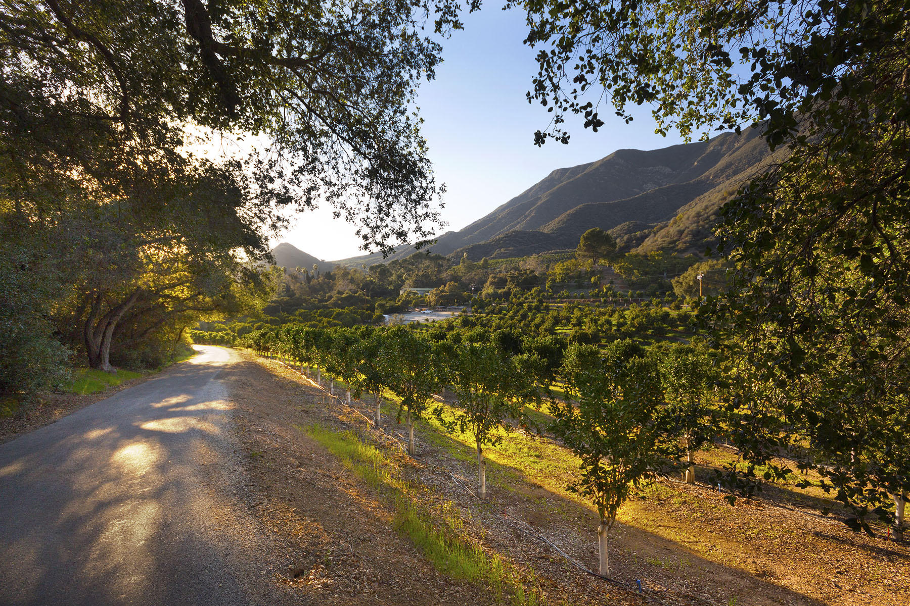 2289 Hermitage Road Ojai, CA 93023 - Photo 4 of 19 IMG_6228-adj2