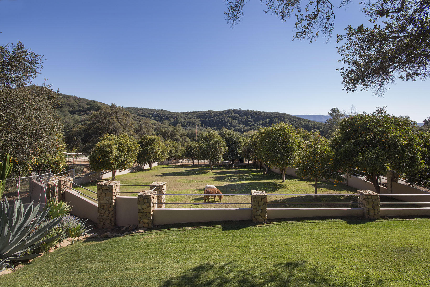 2289 Hermitage Road Ojai, CA 93023 - Photo 5 of 19 IMG_5873-adj1