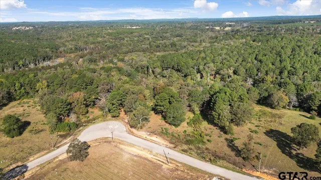 a view of a park with large trees