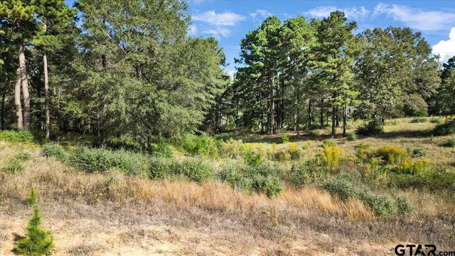 a view of a lake with outdoor space