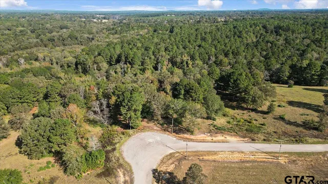 a view of a yard with a sink