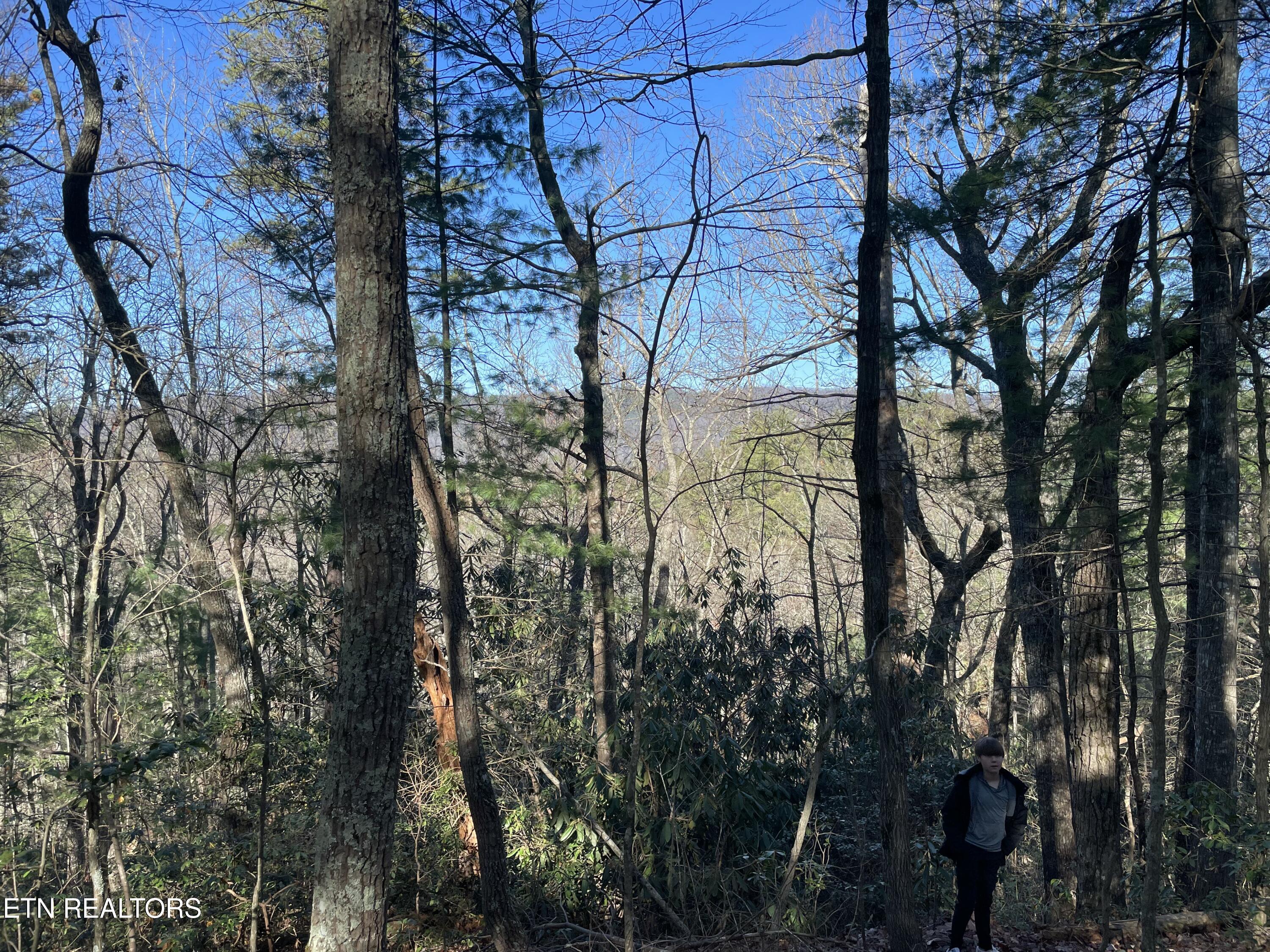 Tbd Walnut Flats Road Walland, TN 37886 - Photo 2 of 11 IMG_4775