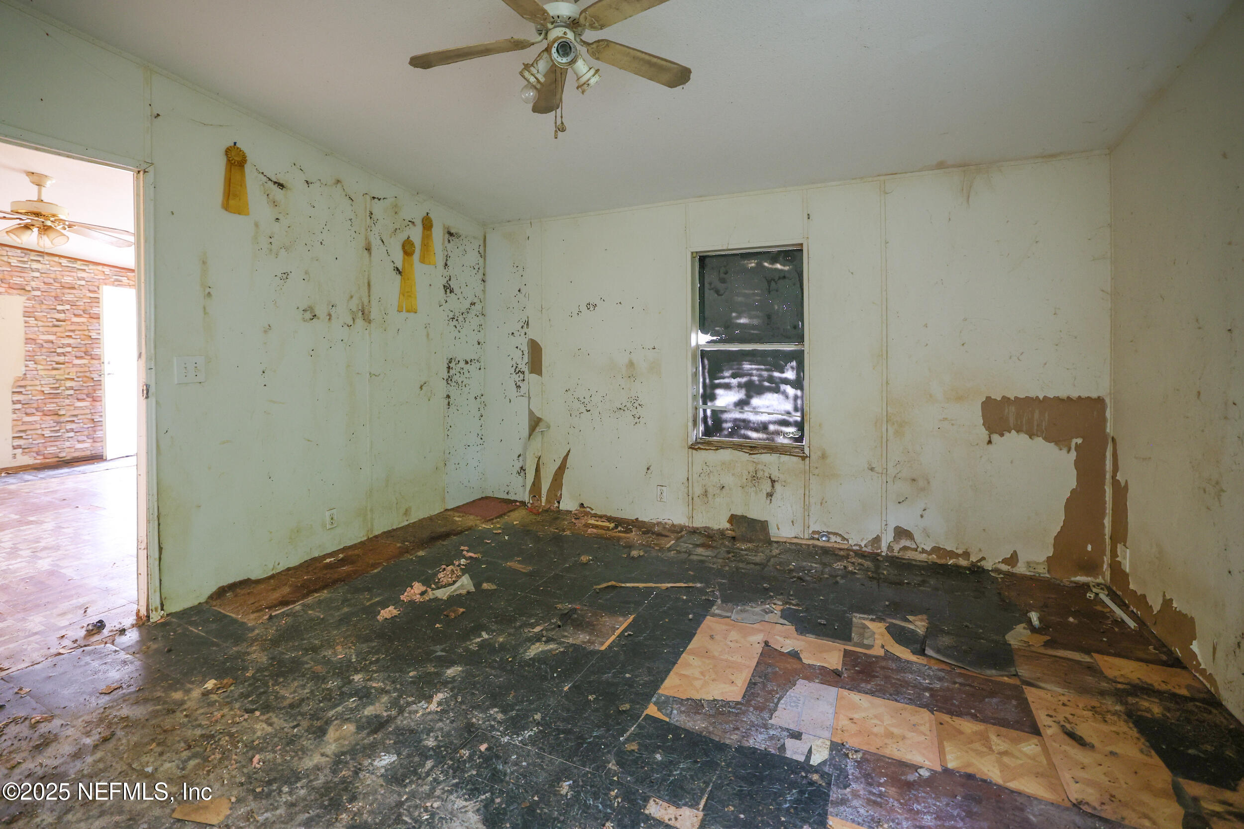 4092 Dowling Road Middleburg, FL 32068 - Photo 17 of 35 4092 Dowling-116