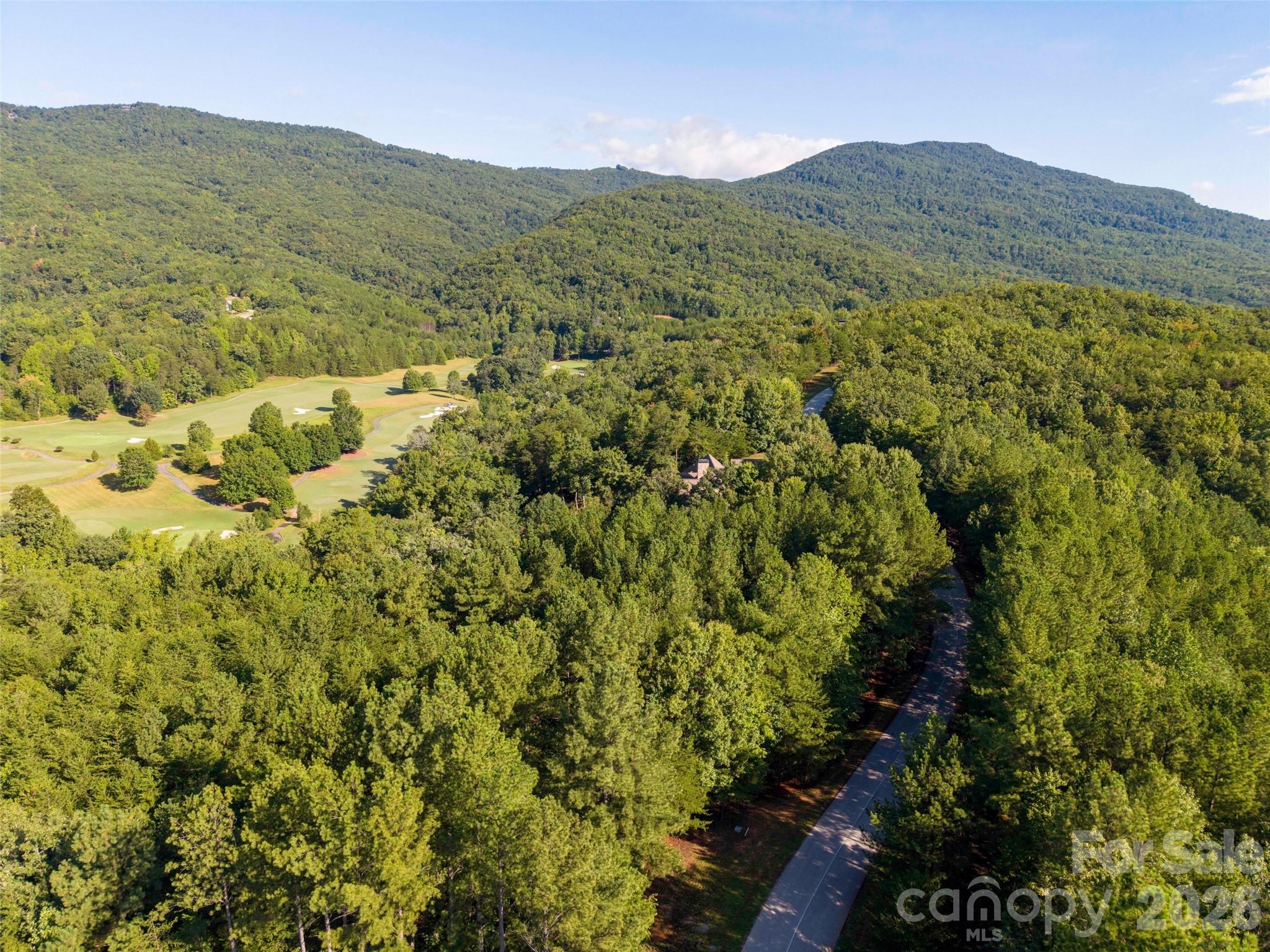 0 Deep Gap Farm Road East, Unit 34 Mill Spring, NC 28756 - Photo 10 of 11 Gallery Image 10