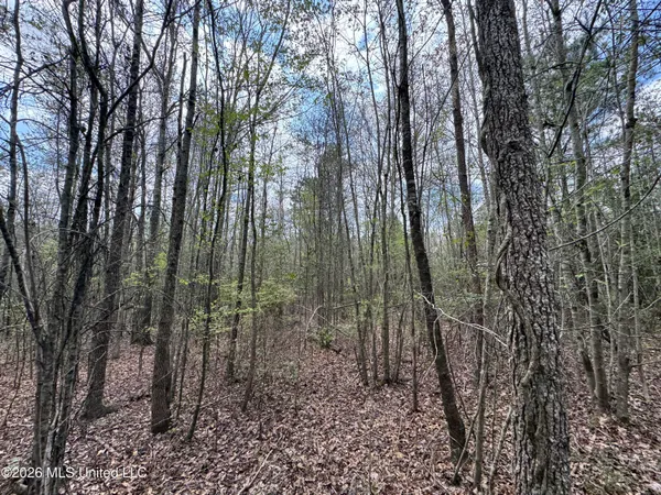 $64,080 | Stephens Road, Newton, MS 39345