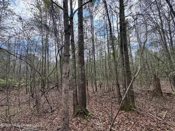 $64,080 | Stephens Road, Newton, MS 39345