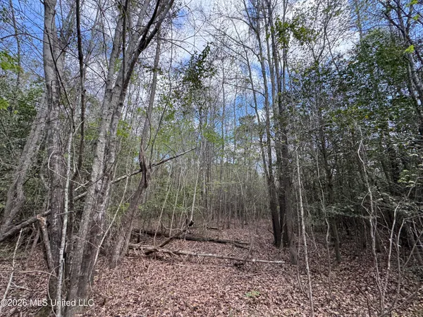 $64,080 | Stephens Road, Newton, MS 39345