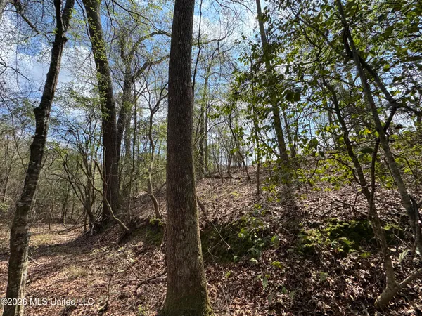 $64,080 | Stephens Road, Newton, MS 39345