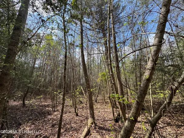 $81,880 | Stephens Road, Newton, MS 39345