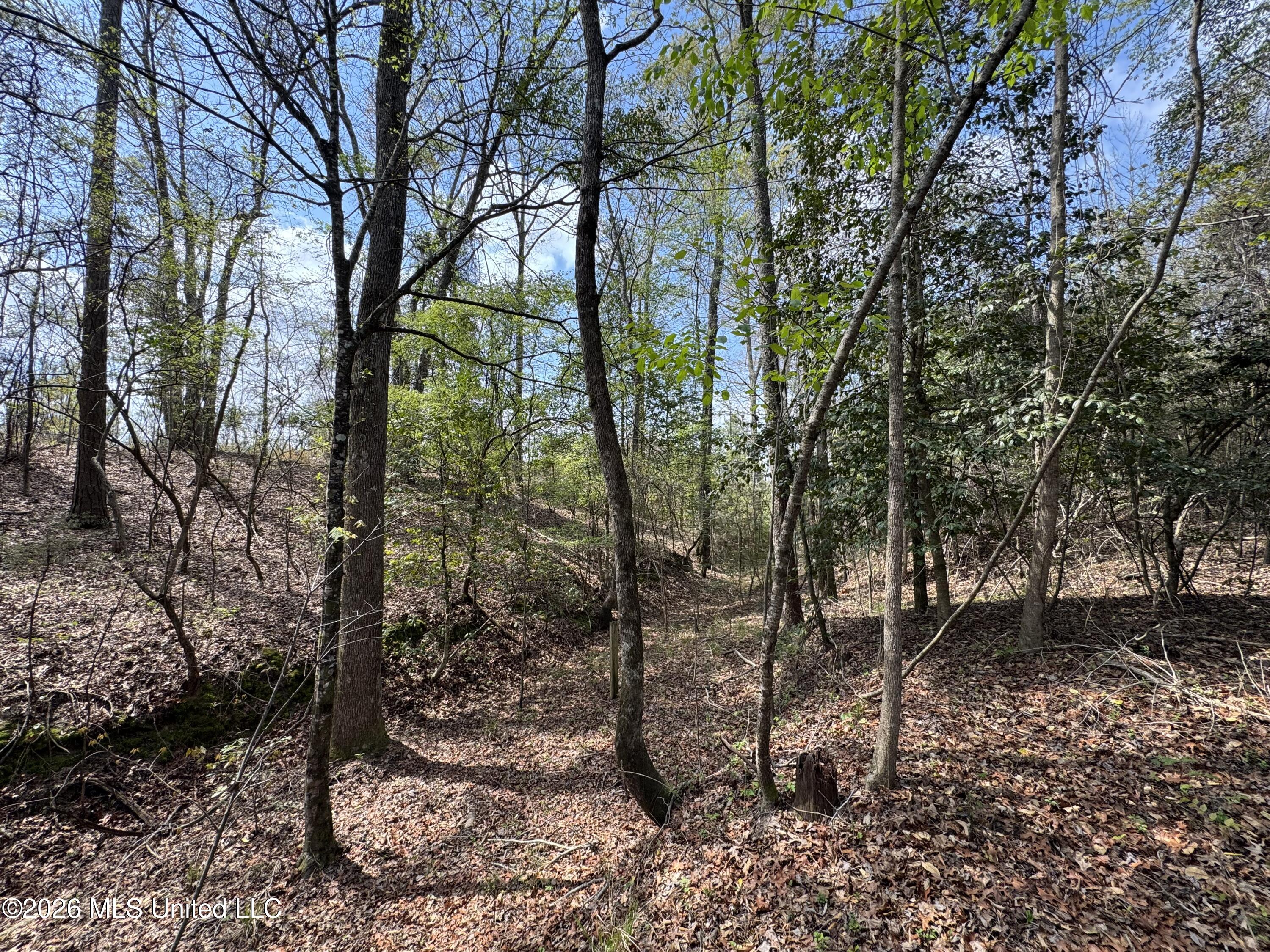Stephens Road Newton, MS 39345 - Photo 18 of 21 IMG_9402