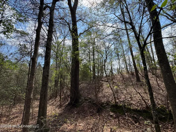 $64,080 | Stephens Road, Newton, MS 39345