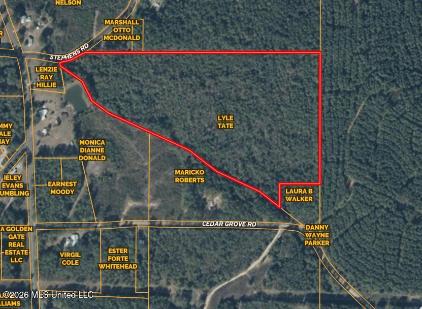 Stephens Road Newton, MS 39345 - Photo 2 of 21 35.5 Newton