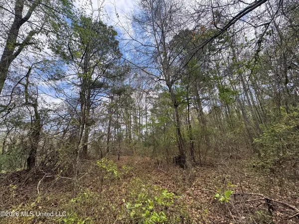 $81,880 | Stephens Road, Newton, MS 39345
