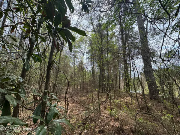 $81,880 | Stephens Road, Newton, MS 39345