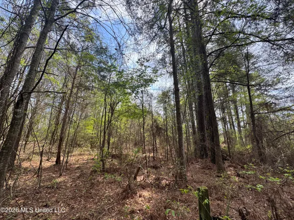 $81,880 | Stephens Road, Newton, MS 39345