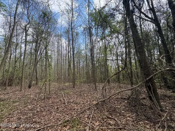 $64,080 | Stephens Road, Newton, MS 39345