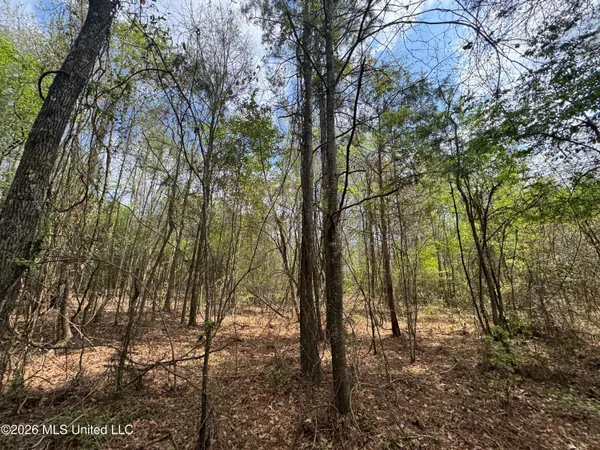 $81,880 | Stephens Road, Newton, MS 39345