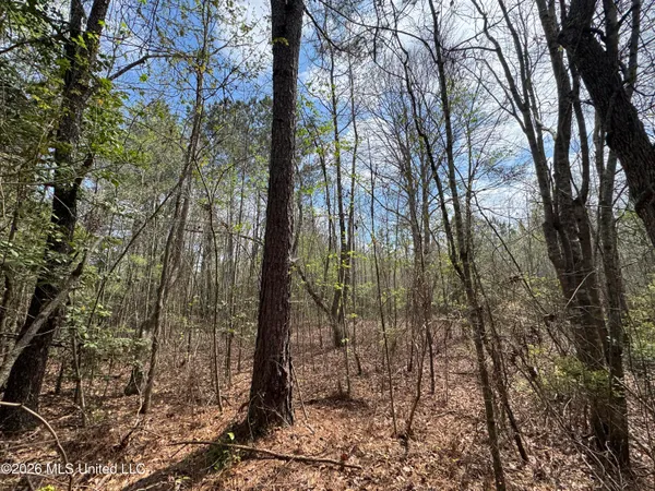 $64,080 | Stephens Road, Newton, MS 39345