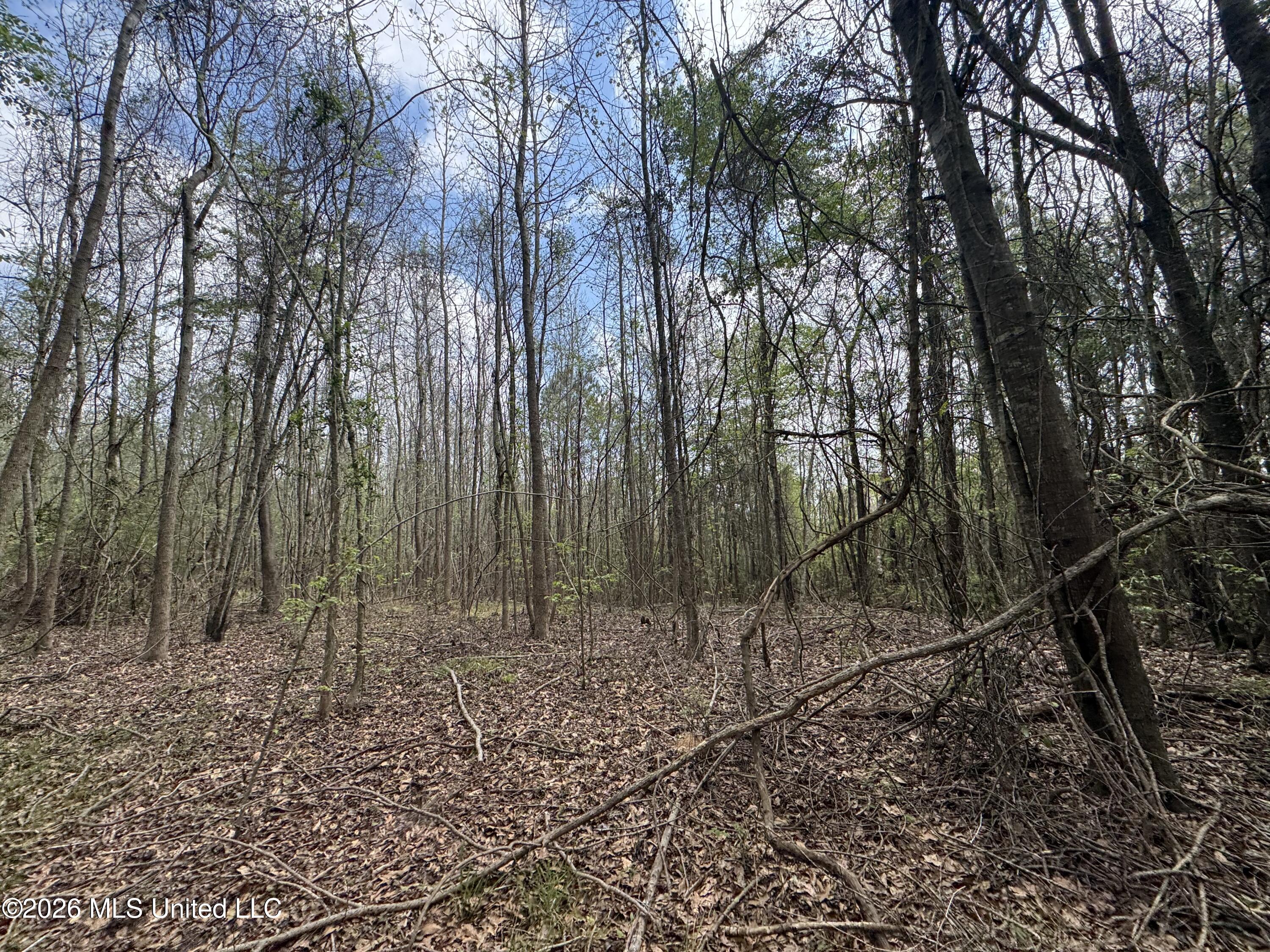Stephens Road Newton, MS 39345 - Photo 9 of 21 IMG_9377