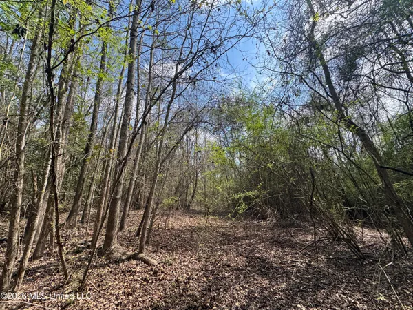 $81,880 | Stephens Road, Newton, MS 39345