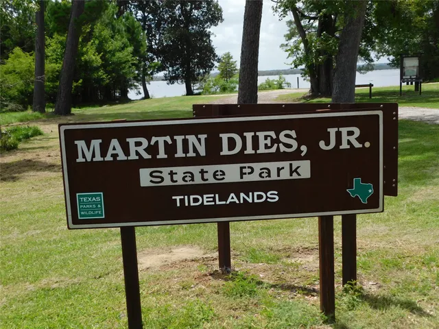 $75,000 | 240 County Road 4140, Woodville, TX 75979