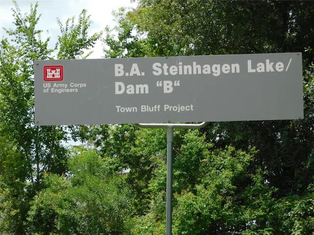 $75,000 | 240 County Road 4140, Woodville, TX 75979