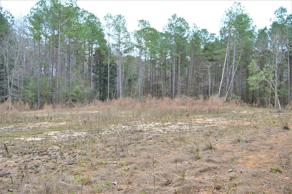 2297 Fox Road Southeast Bogue Chitto, MS 39629 - Photo 1 of 8 Main View