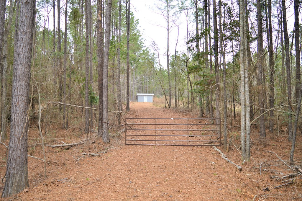 2297 Fox Road Southeast Bogue Chitto, MS 39629 - Photo 2 of 8 Photo 2
