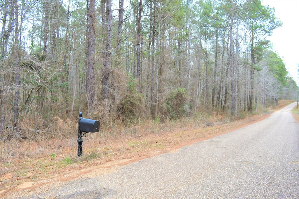 2297 Fox Road Southeast Bogue Chitto, MS 39629 - Photo 3 of 8 Photo 3