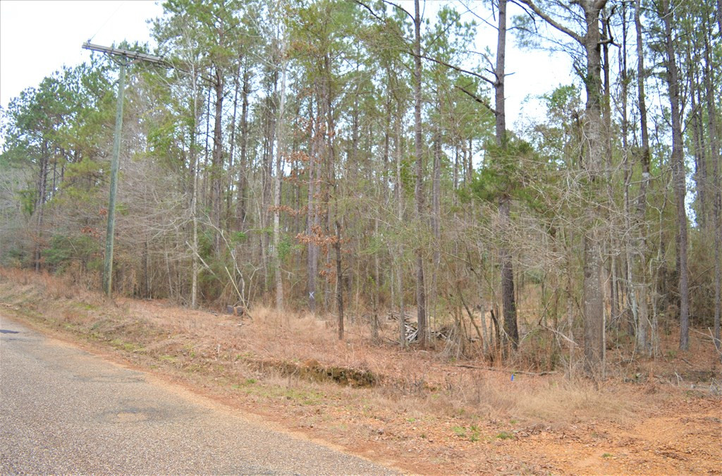2297 Fox Road Southeast Bogue Chitto, MS 39629 - Photo 4 of 8 Photo 4