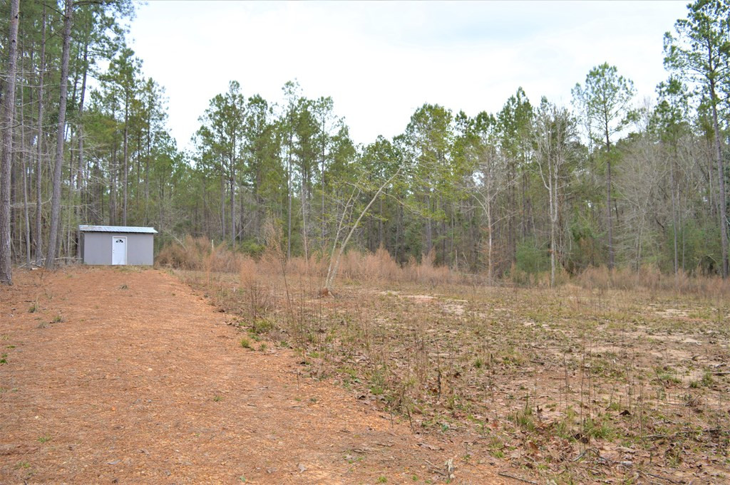 2297 Fox Road Southeast Bogue Chitto, MS 39629 - Photo 5 of 8 Photo 5