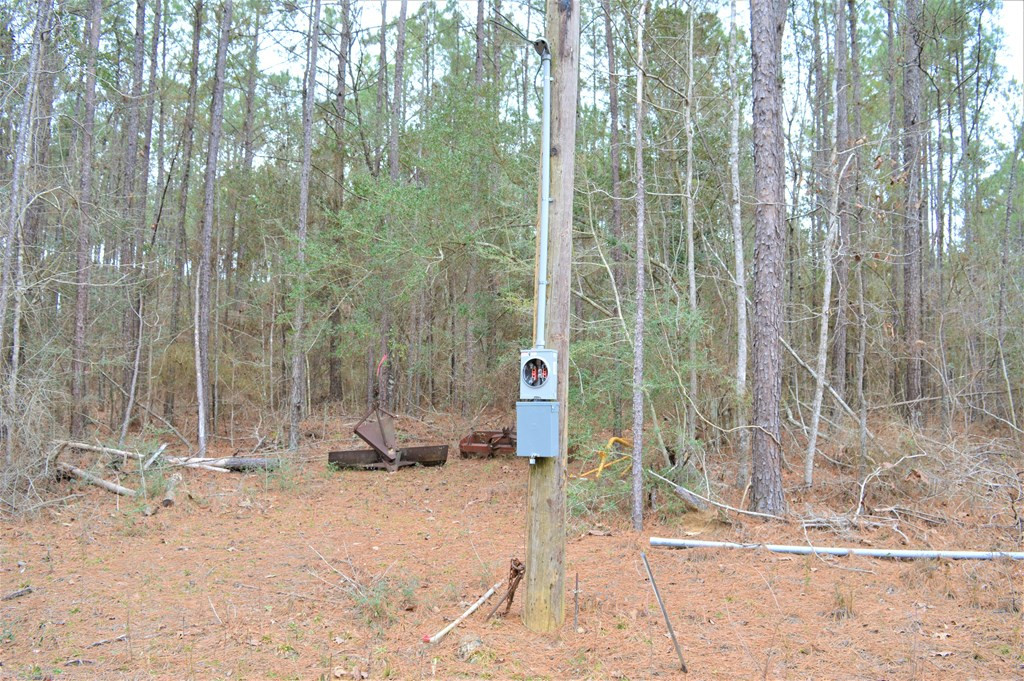 2297 Fox Road Southeast Bogue Chitto, MS 39629 - Photo 6 of 8 Photo 6