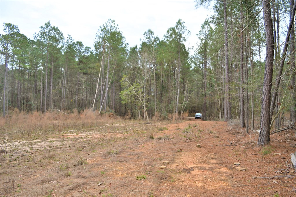 2297 Fox Road Southeast Bogue Chitto, MS 39629 - Photo 7 of 8 Photo 7