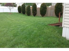 389 Kings Road Piney Flats, TN 37686 - Photo 23 of 24 Photo 23