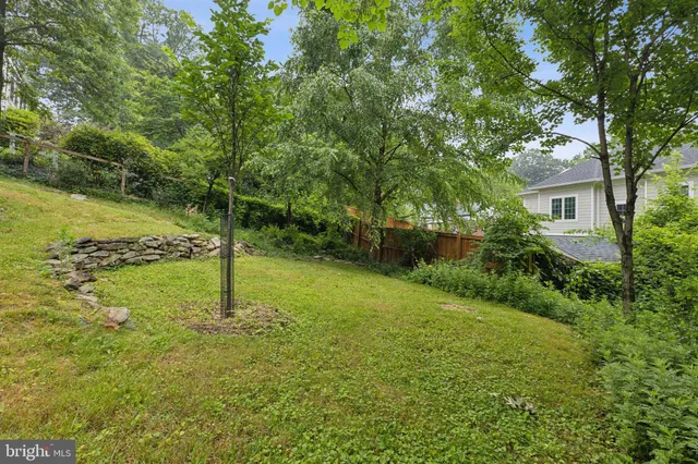 a view of a yard with a tree