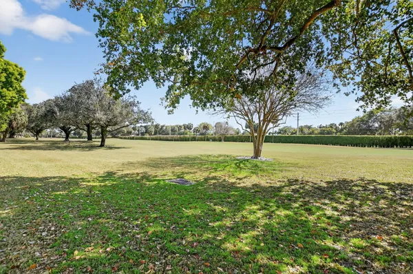 a view of an ocean from a yard